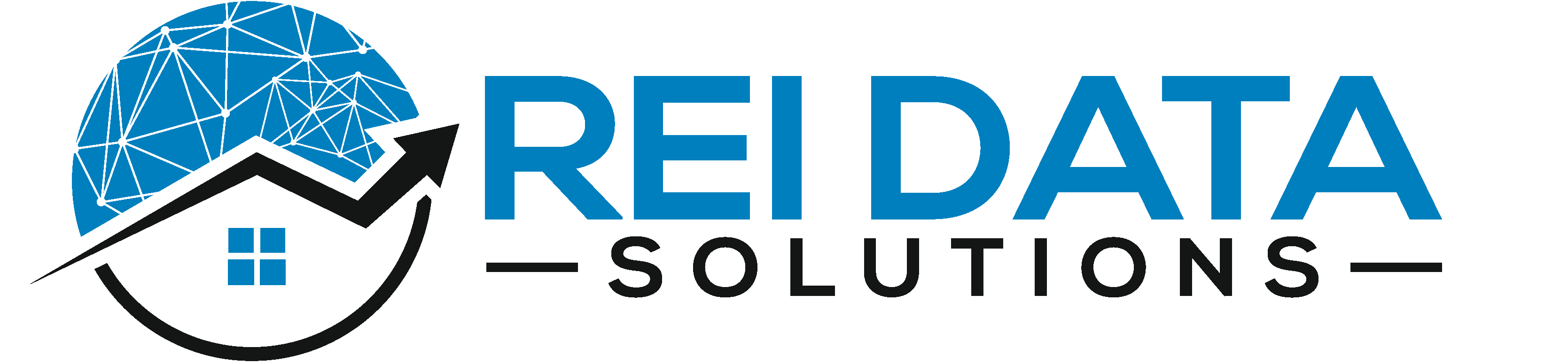 REI Data Solutions logo 4